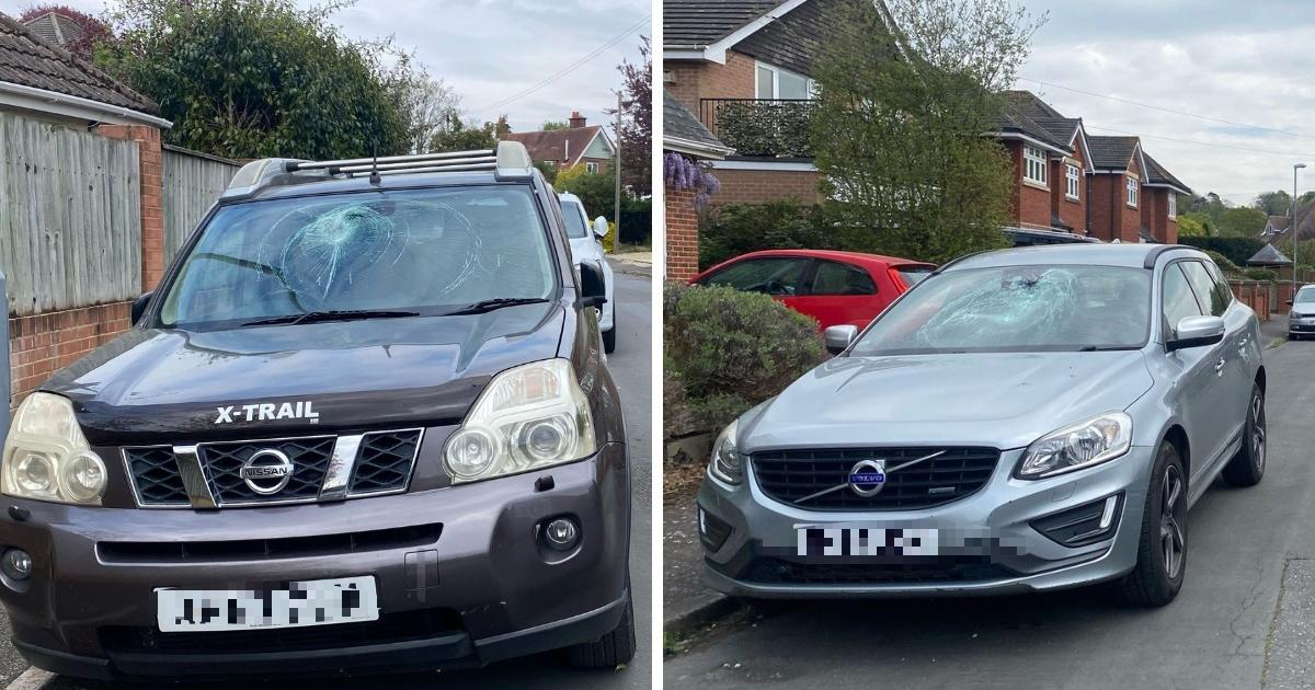 Car Smashing Incident: Man Falls From Roof