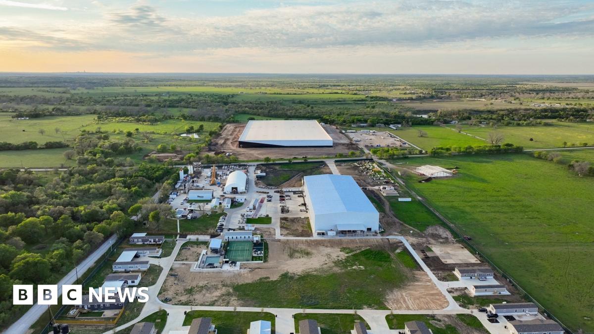 Elon Musk's Texas Gigafactory: Subsidies & Free Trade