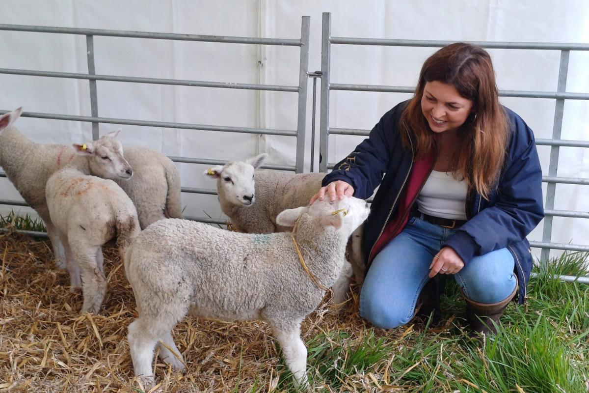 Everything You Need To Know: Dorset Spring Show